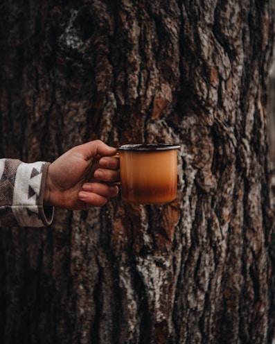 person holding clear glass mug with brown liquid