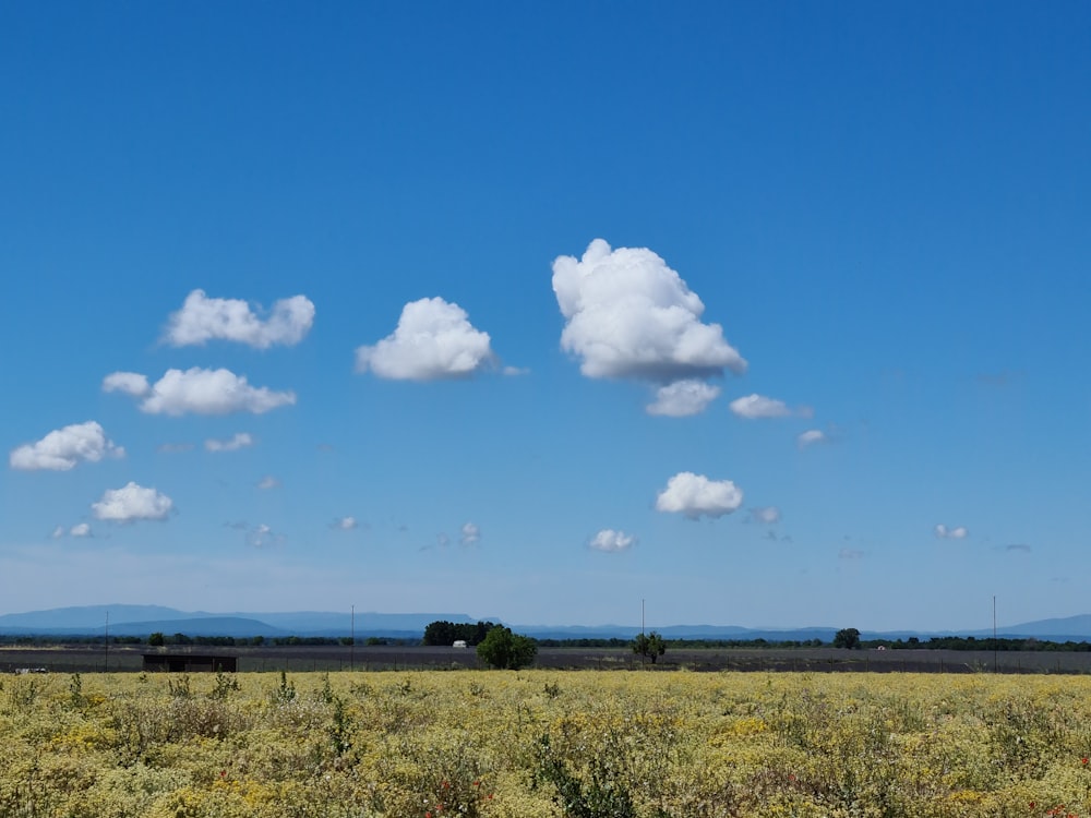 green grass field under blue sky and white clouds during daytime