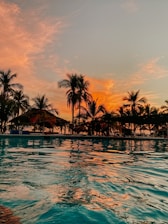 palm trees on body of water during sunset