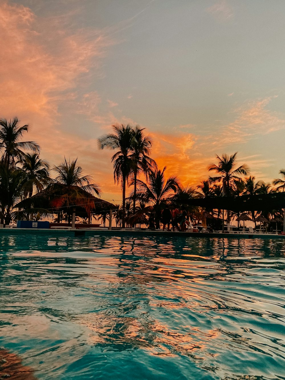 Palmeras en el cuerpo de agua durante la puesta del sol