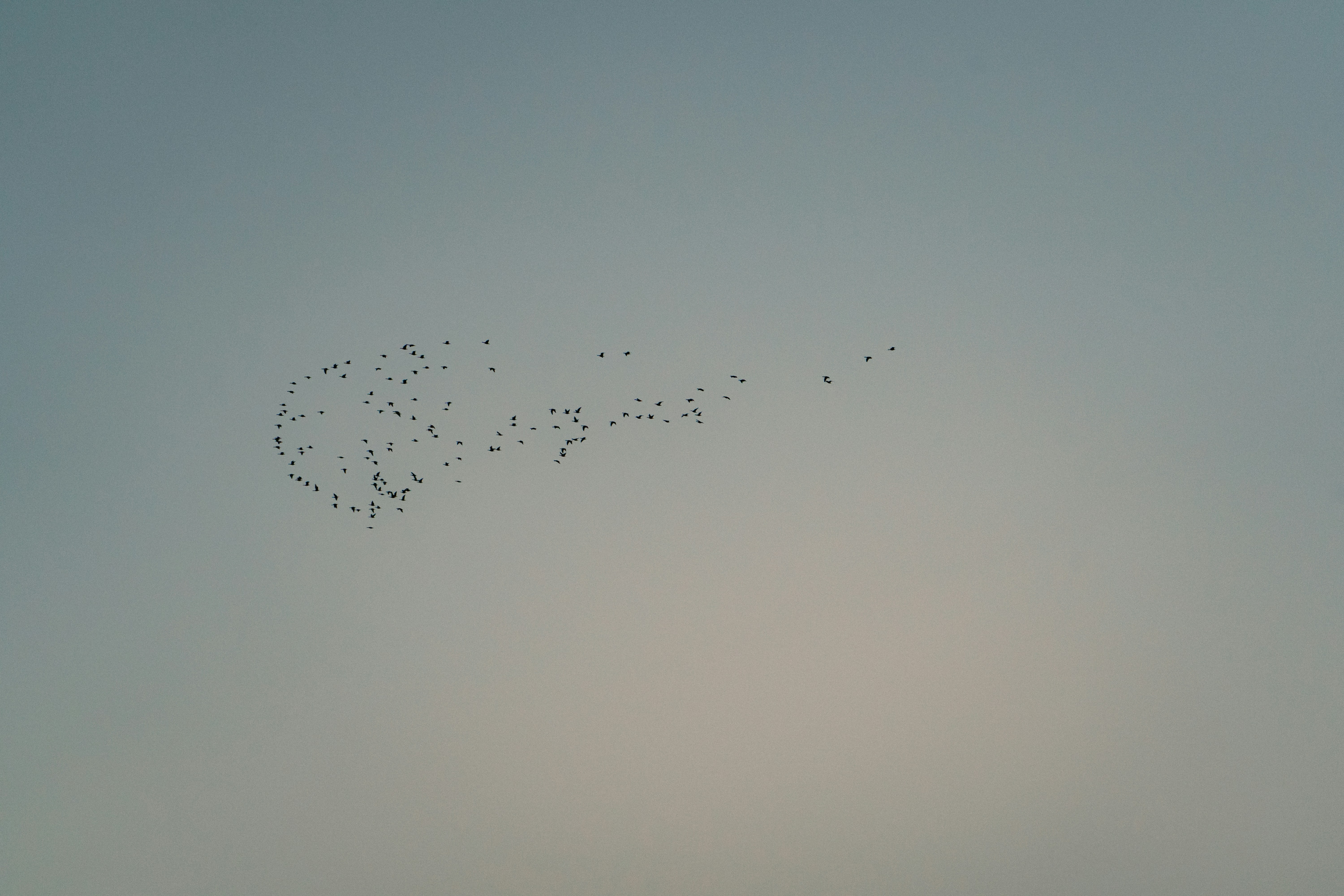 Photo by cedrikwesche