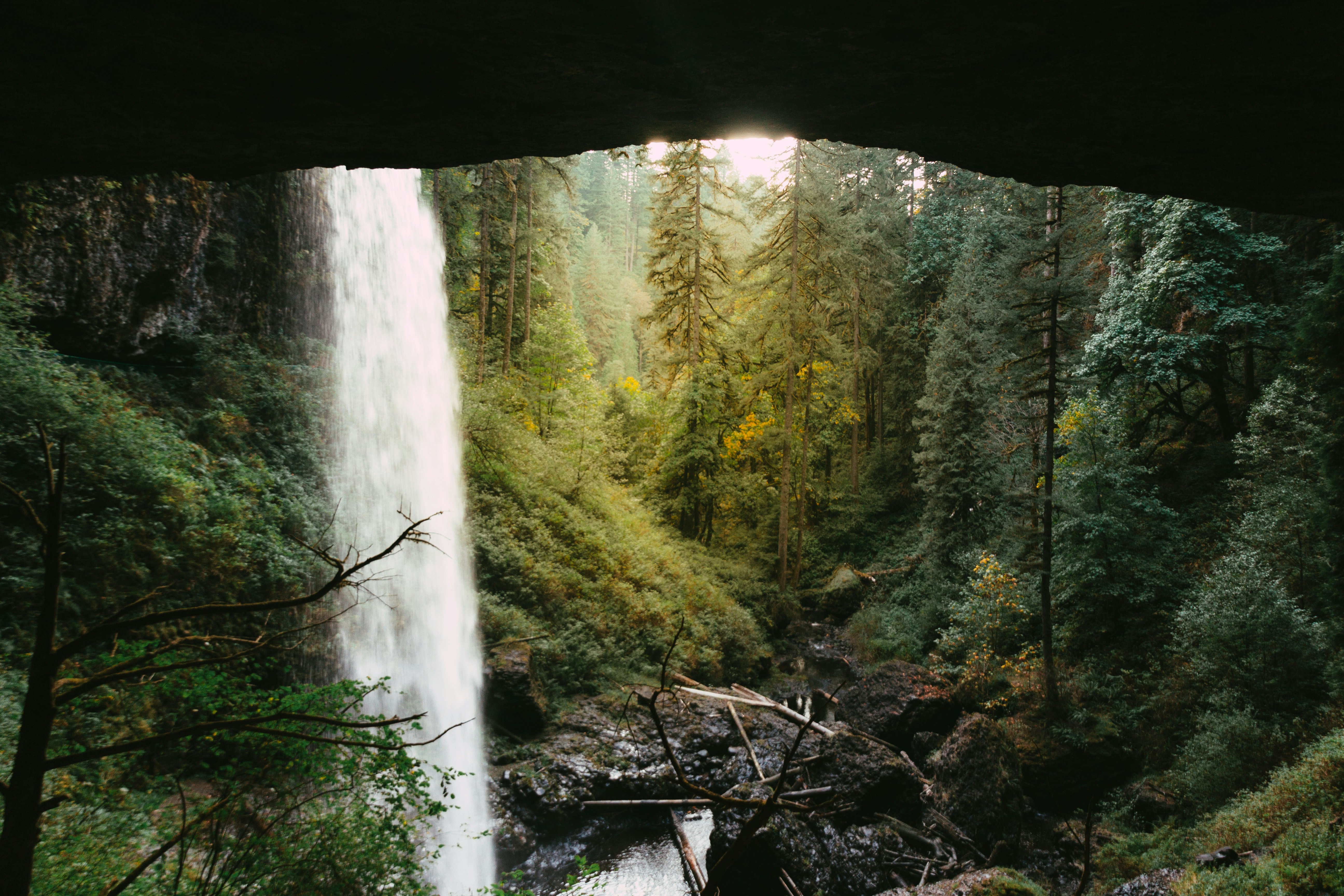 water falls in the middle of the forest