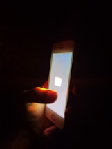 person holding silver iphone 6