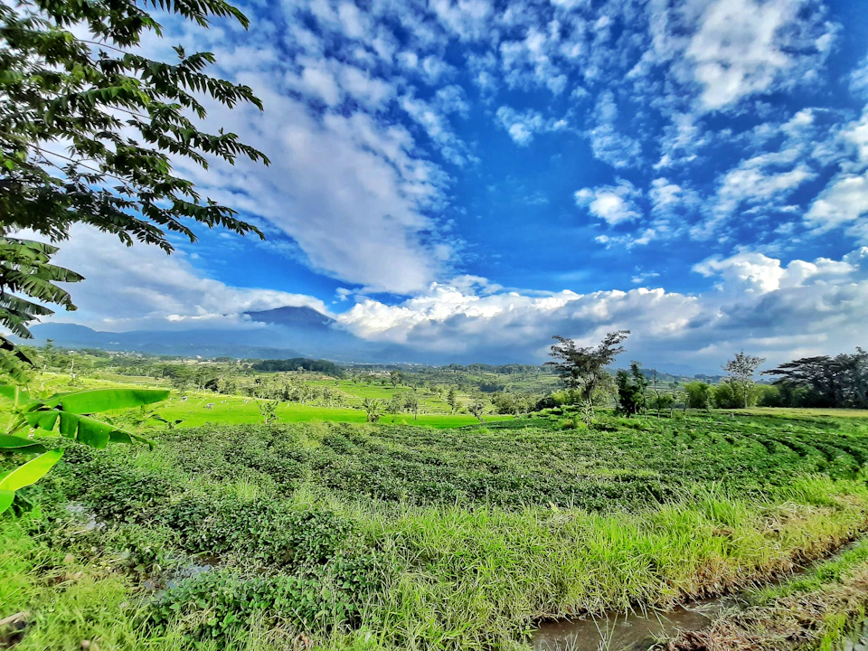 The image depicts a serene rural landscape with a large field covered in lush green grass, dotted with trees and bushes. The sky above is a clear blue, lightly speckled with white clouds. In the distance, there are mountains rising against the horizon, adding depth to the scene. A small stream can be seen running through the middle of the field, reflecting the tranquility of the surroundings.