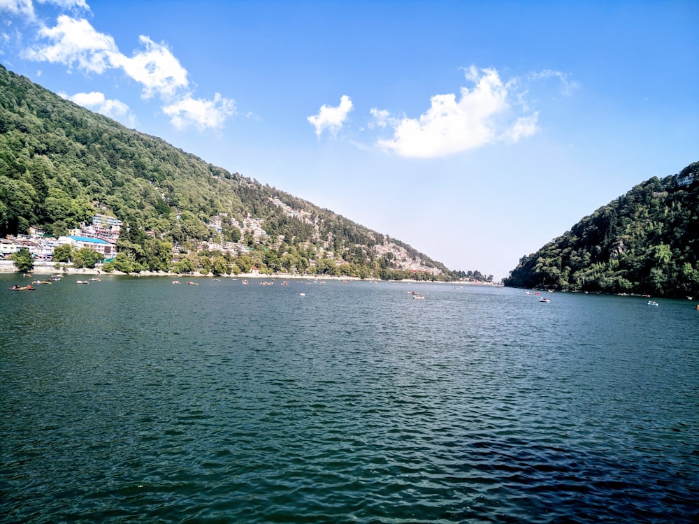 green and white mountains beside body of water under blue sky during daytime