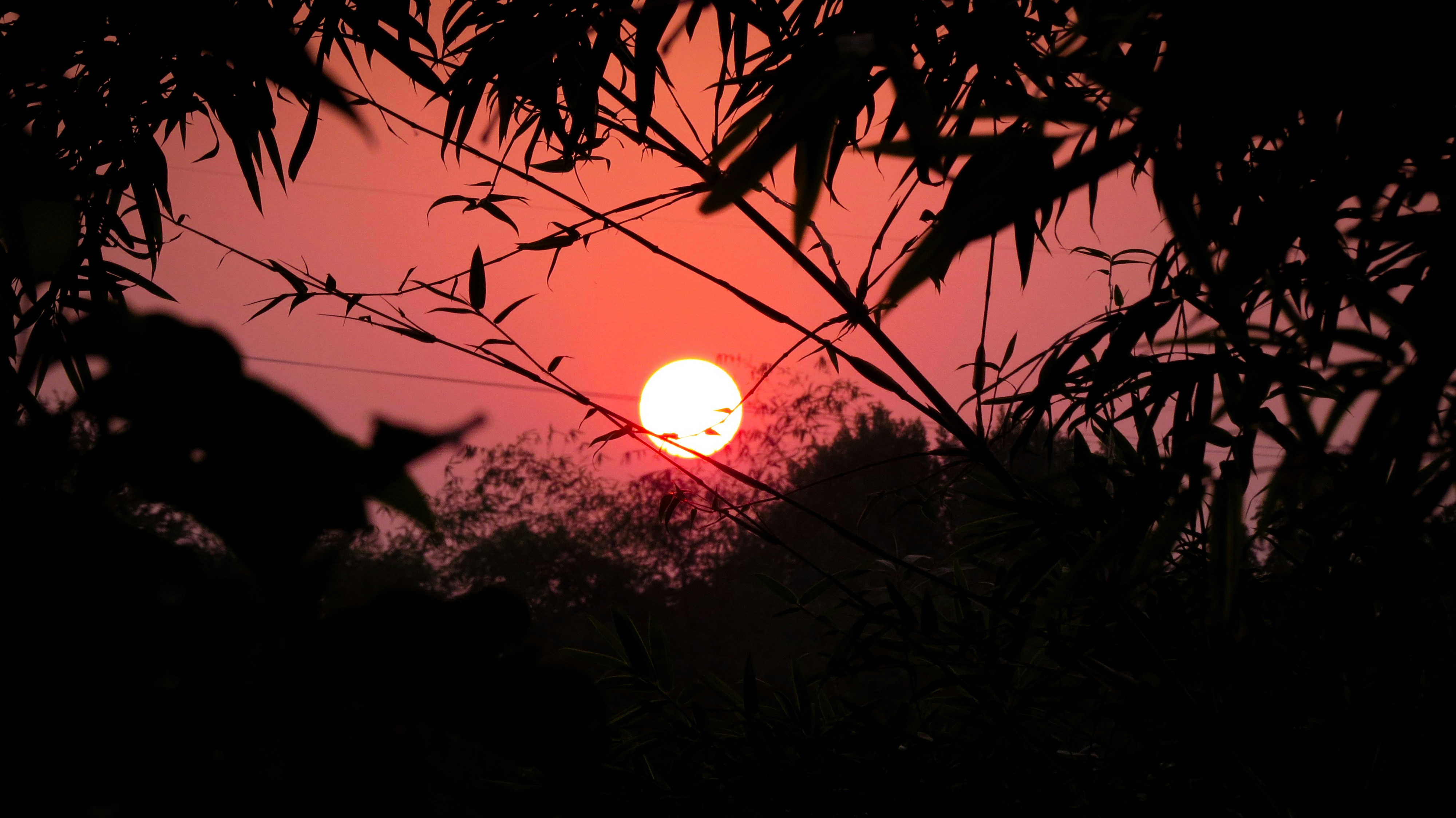 Photo by anandramavath_786