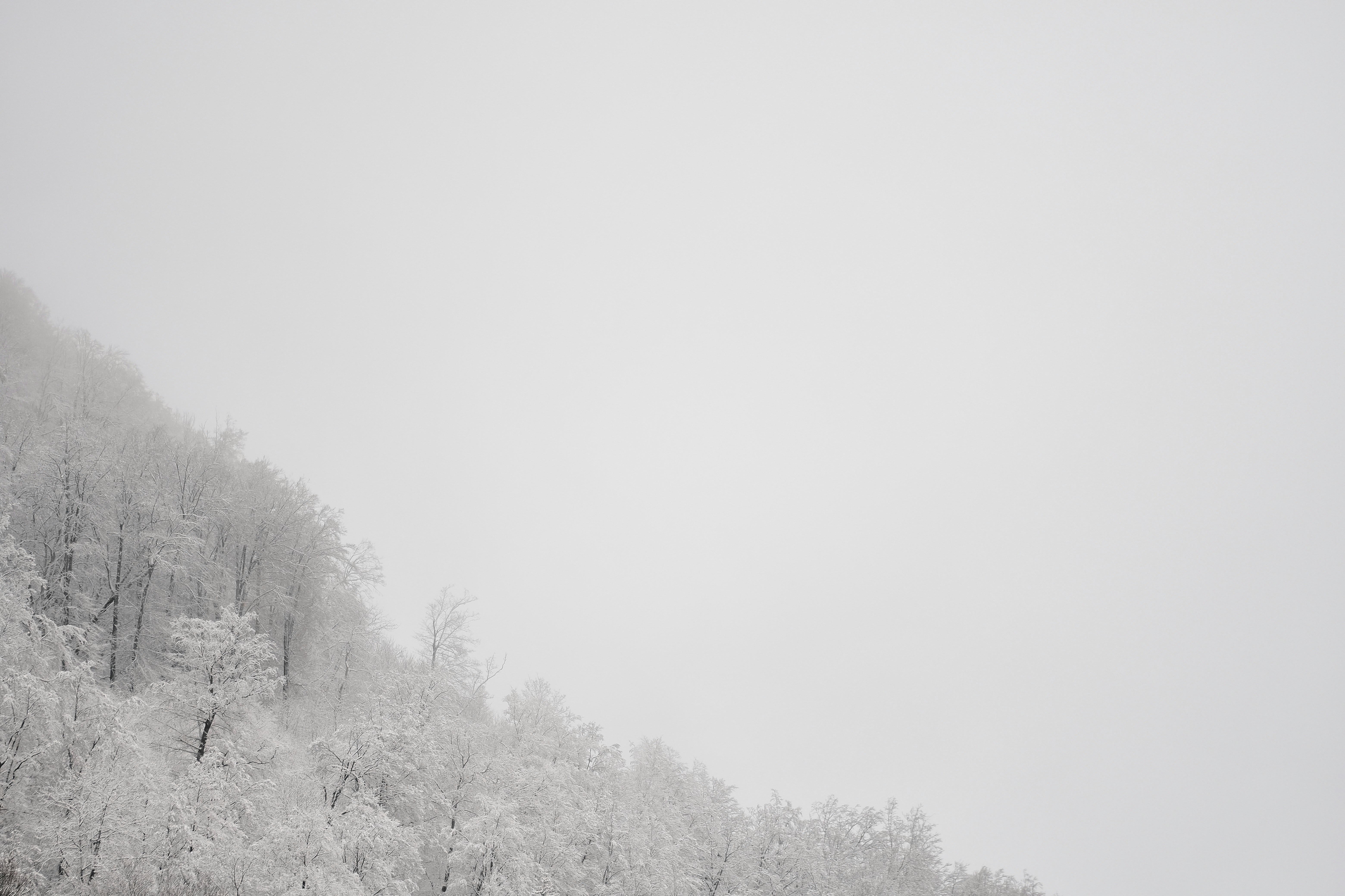 Photo by timschmidbauer