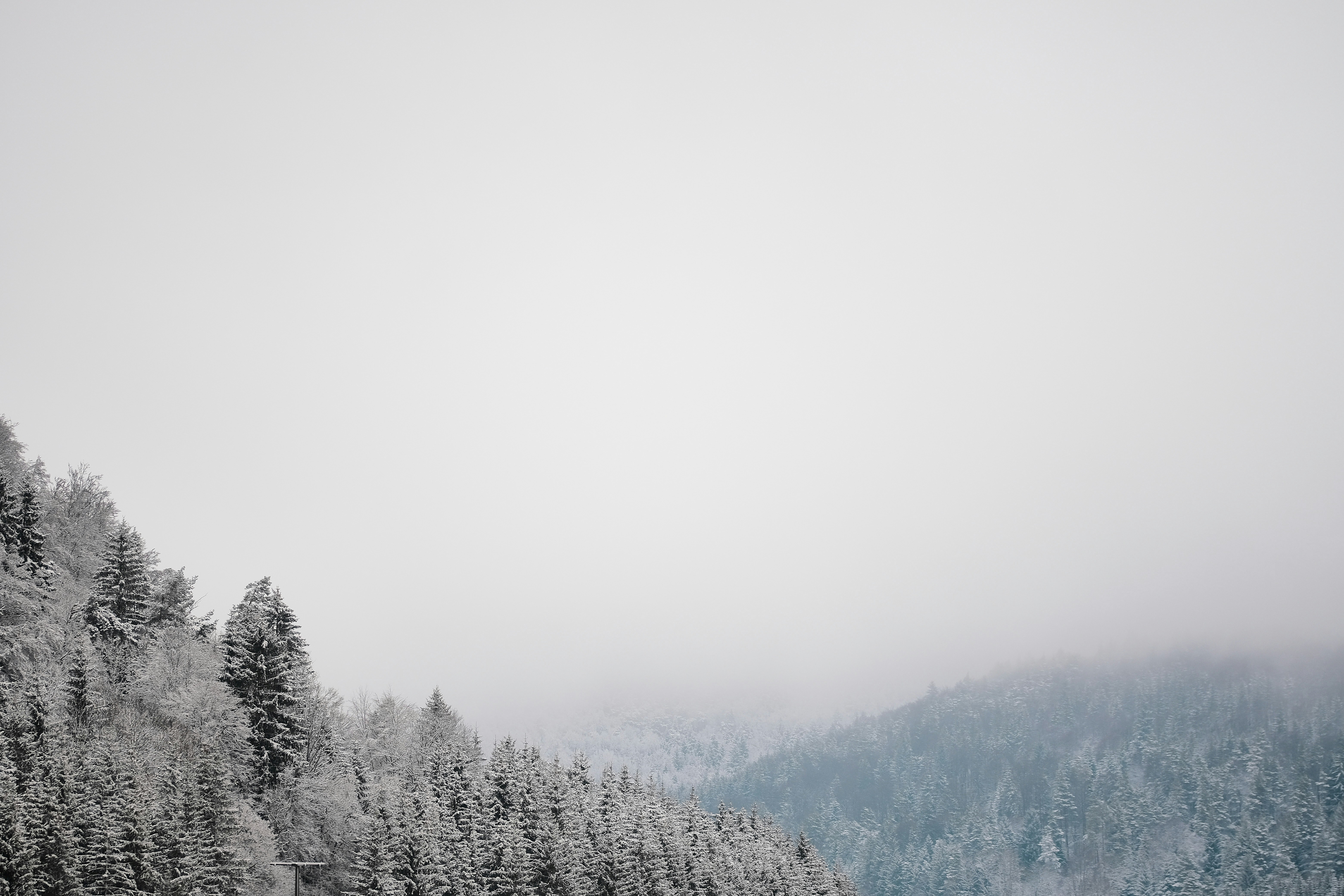 Photo by timschmidbauer