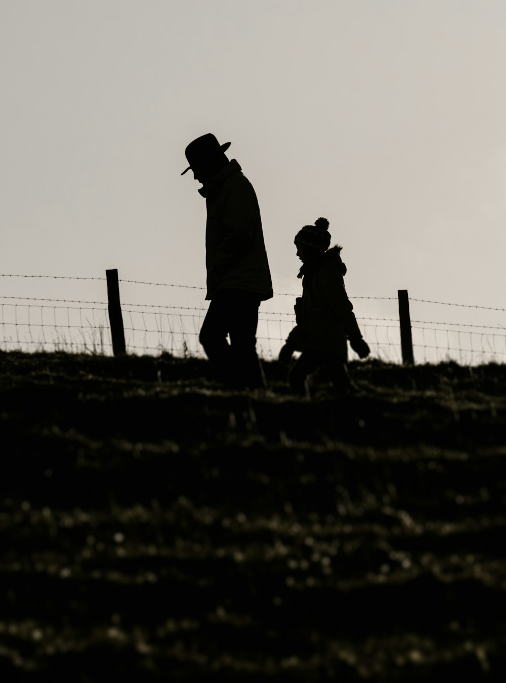 silhouette of people on green grass field during daytime