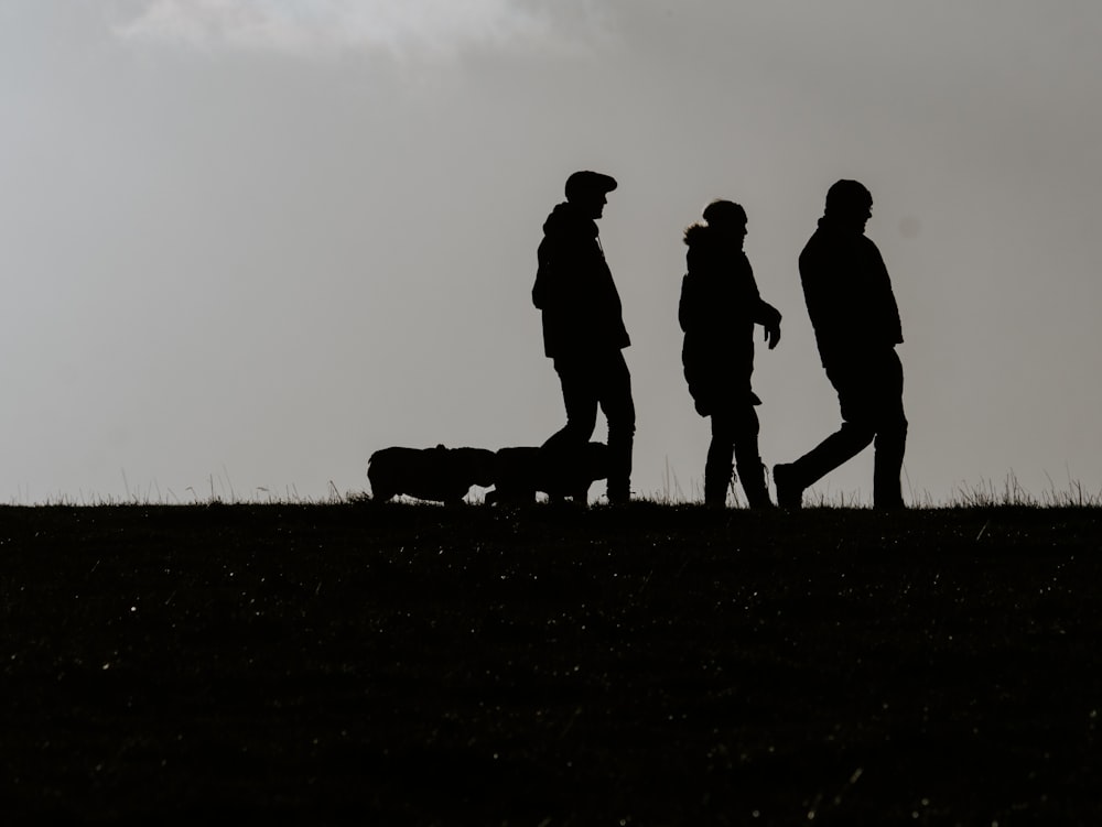 silhouette of people standing on grass field during daytime