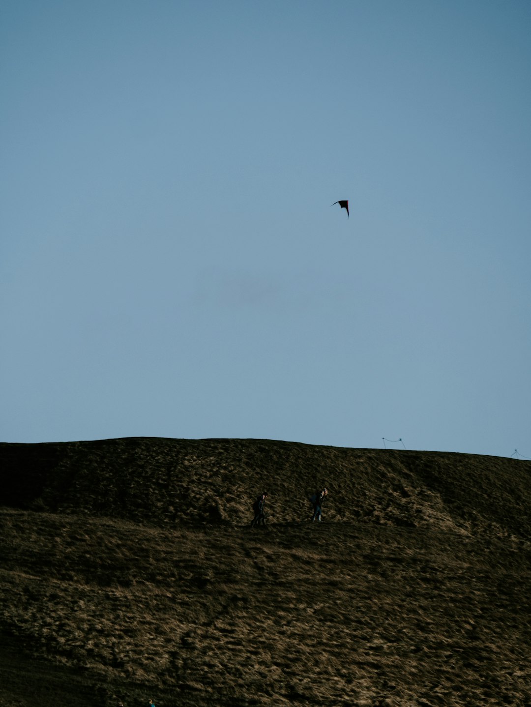 silhouette of bird flying over the mountain during daytime