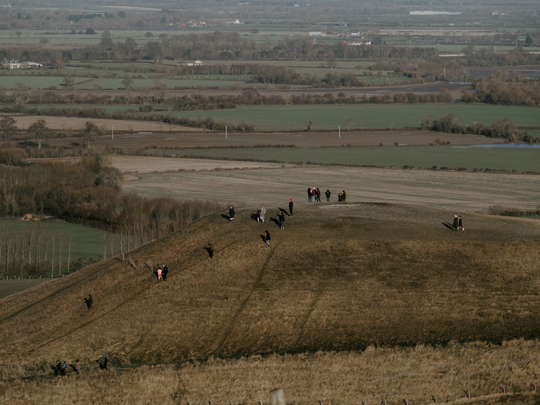 people on green grass field during daytime