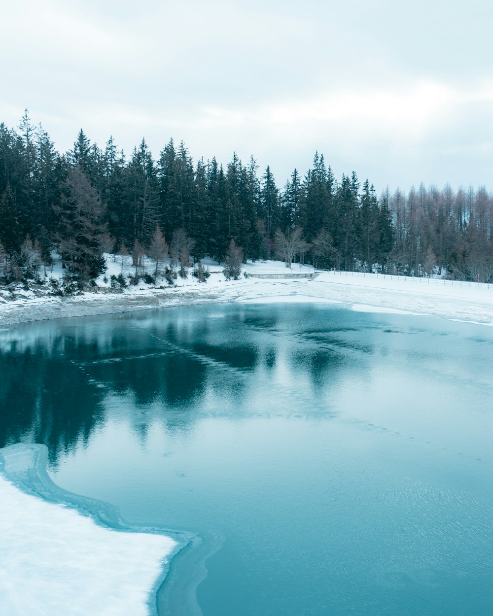 body of water near trees during daytime