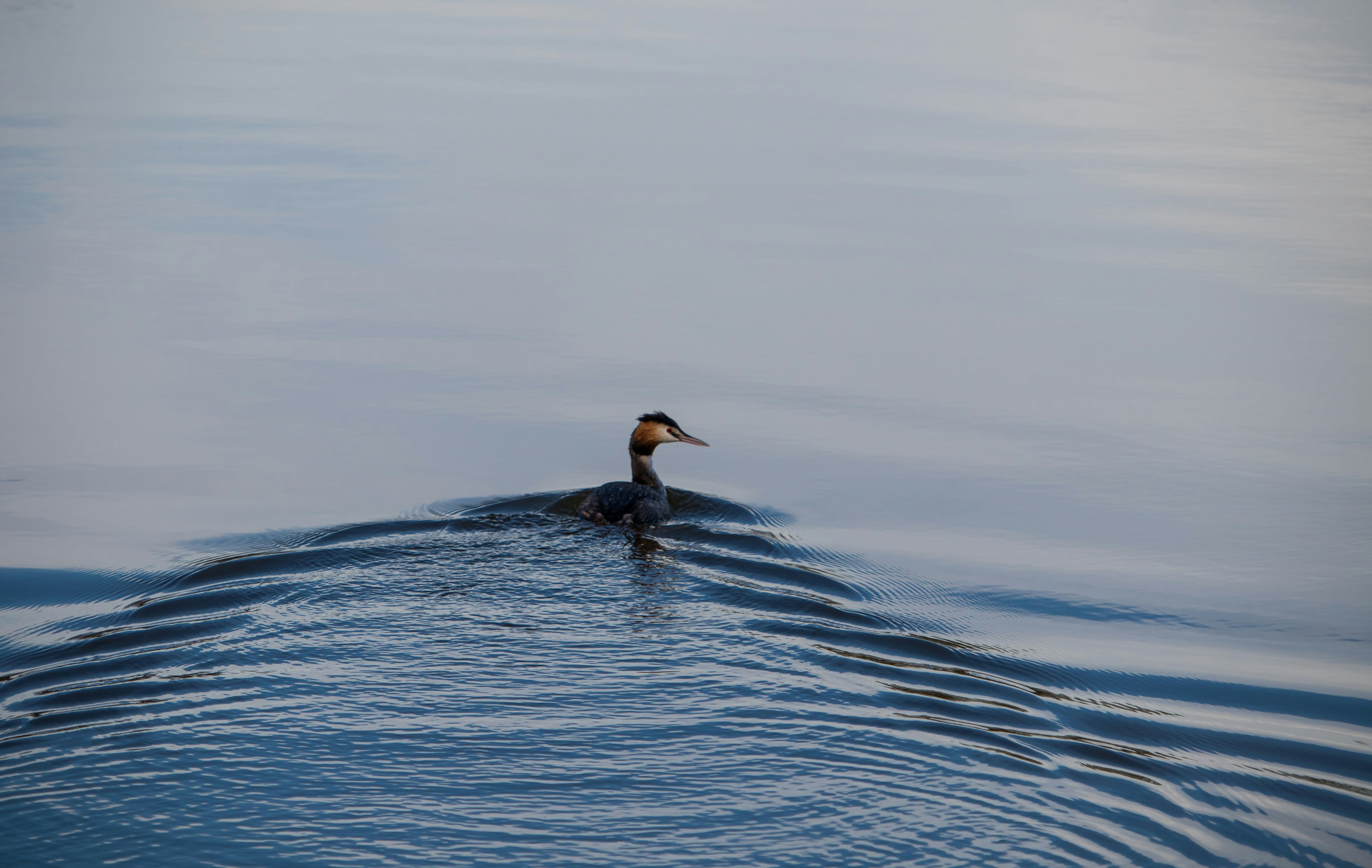 Photo by lvangroningen