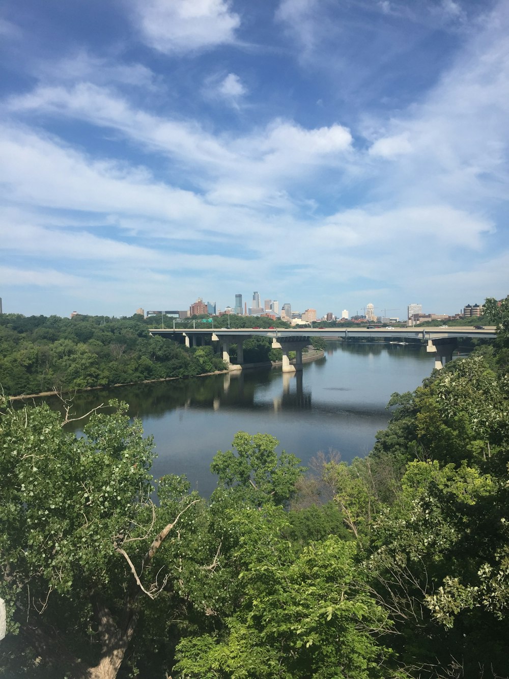 green trees near river under blue sky during daytime