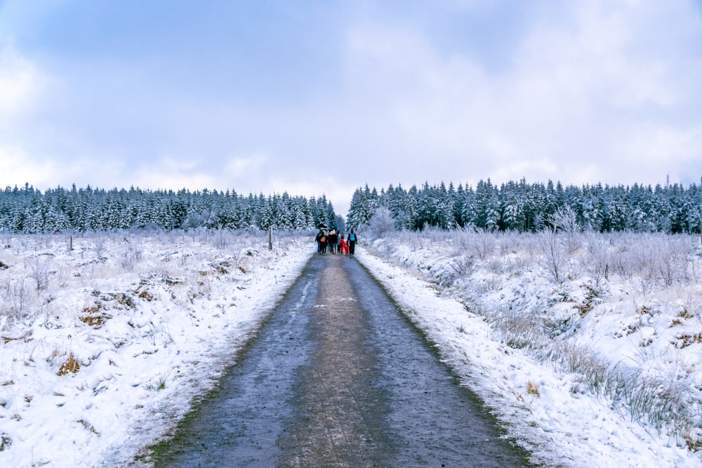 2 personas caminando por la carretera cubierta de nieve durante el día