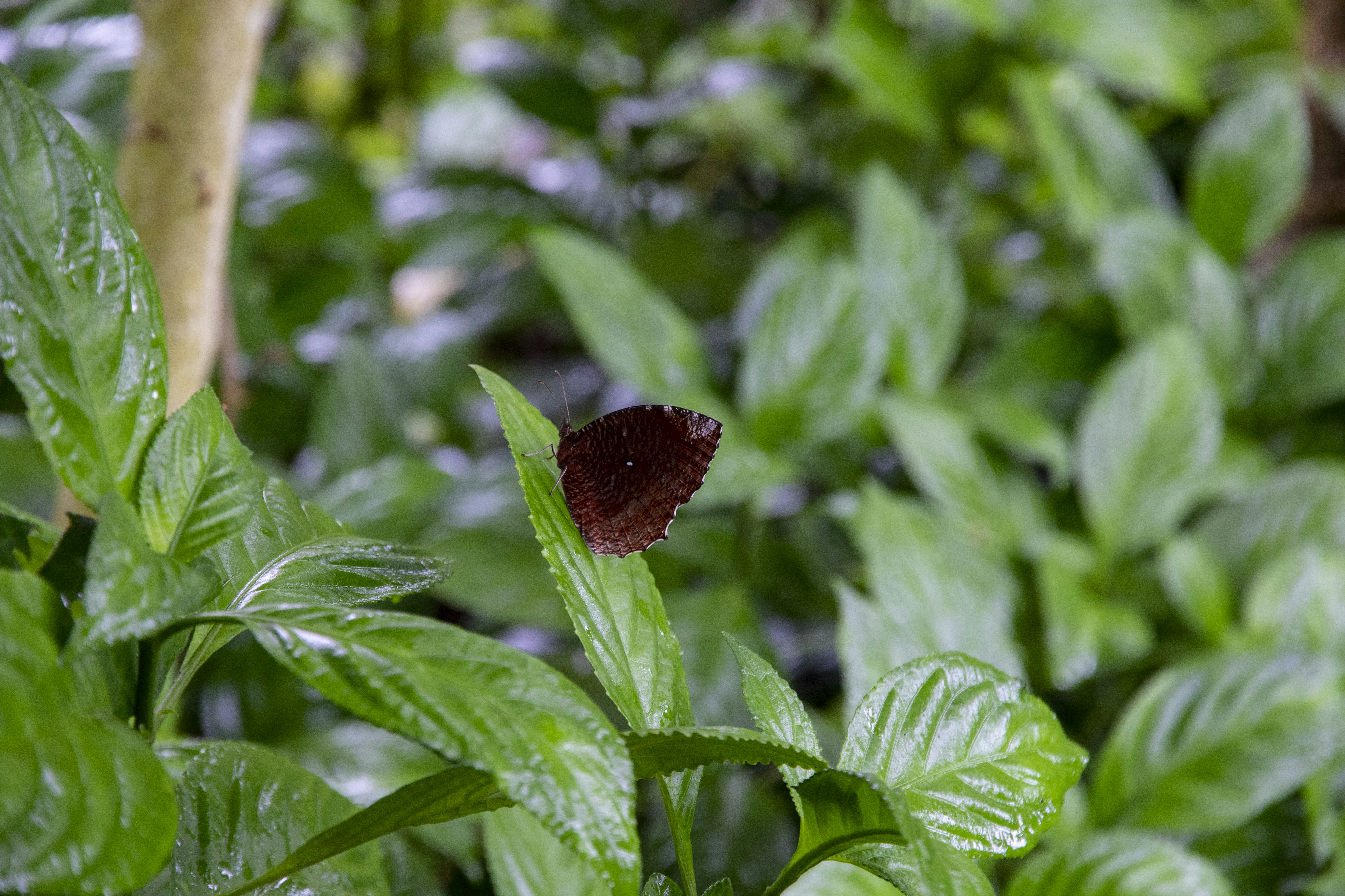 Photo by robincanfield