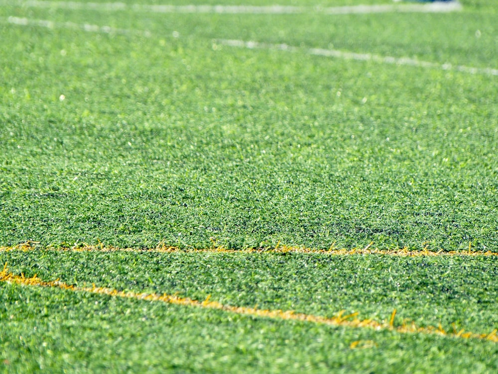 green grass field during daytime