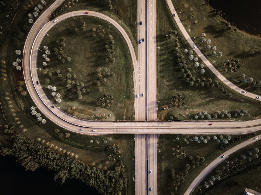 aerial view of green trees and road