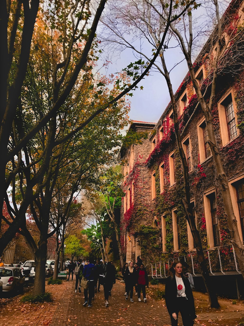 people walking on street near brown concrete building during daytime