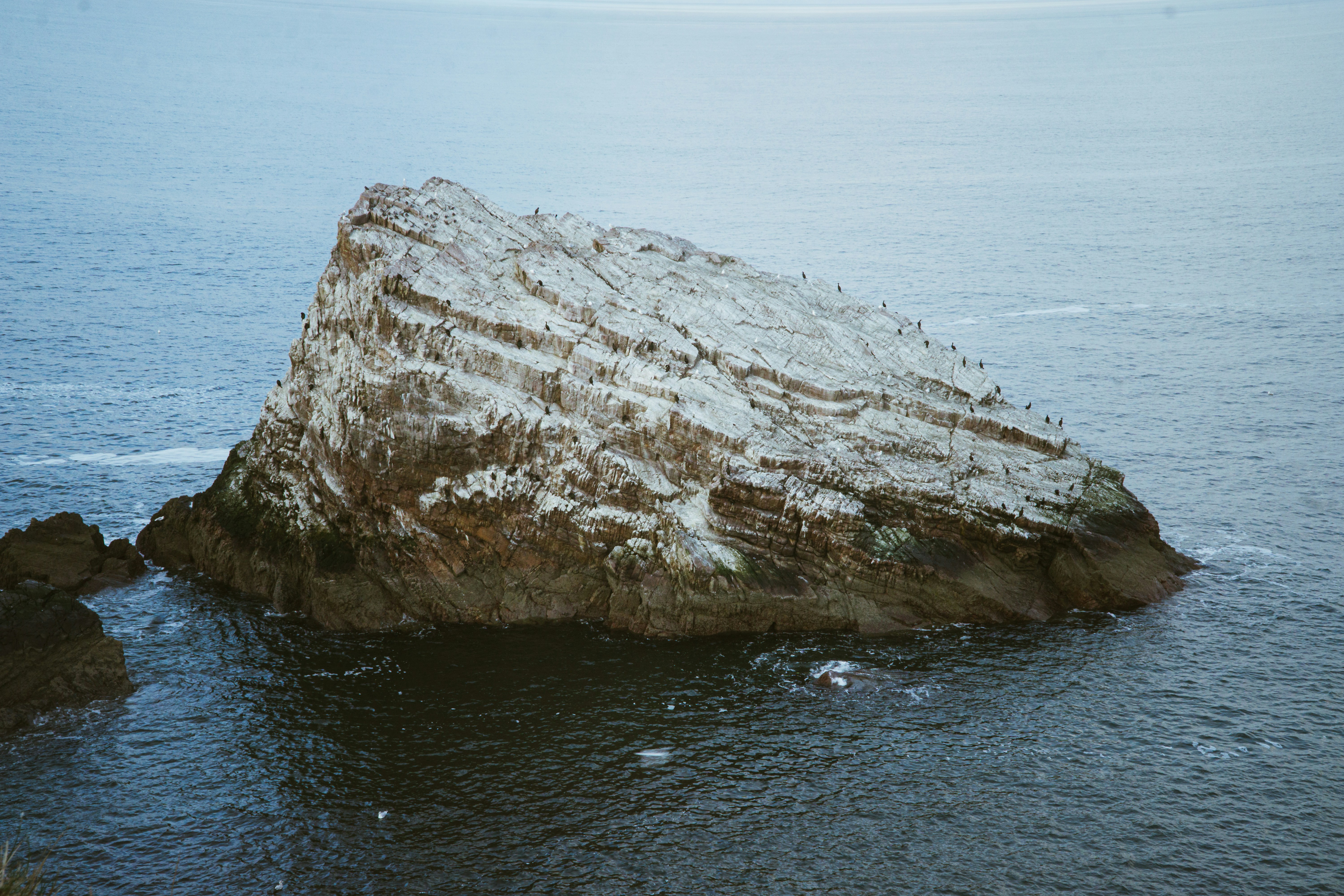 A Local Look at Semaglutide for Weight Loss in Otter Rock, OR