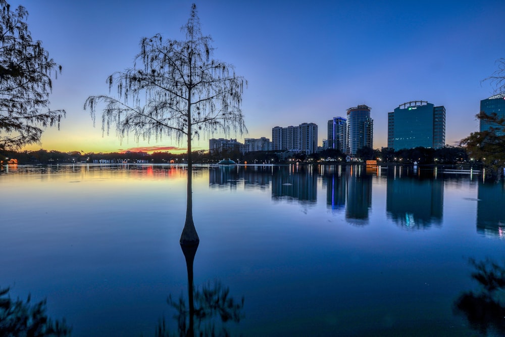 body of water near city buildings during night time