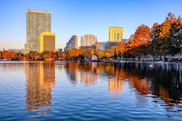 green trees near body of water during daytime
