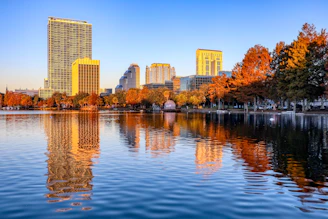 green trees near body of water during daytime