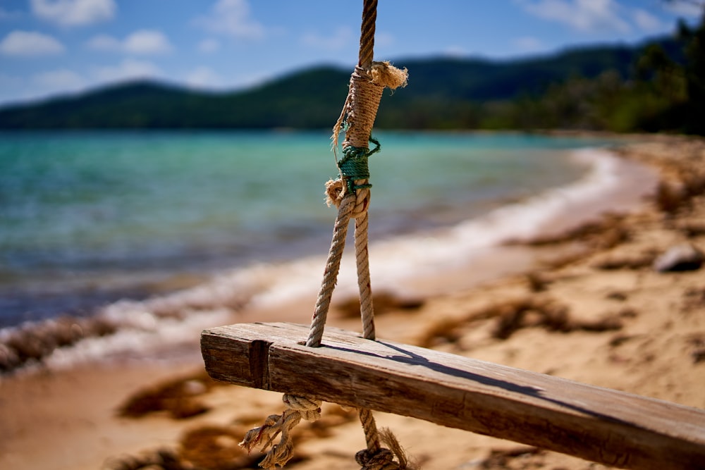 brown wooden swing on brown wooden log near body of water during daytime