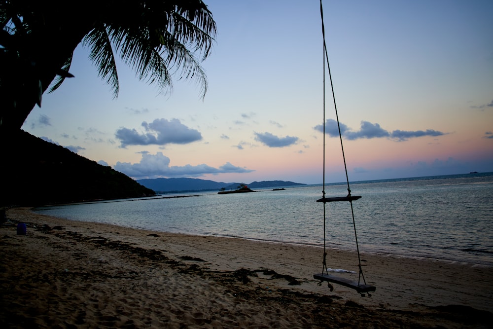 white and black swing on beach during sunset