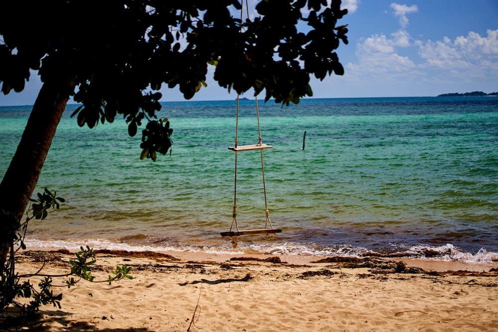 brown wooden swing on beach during daytime