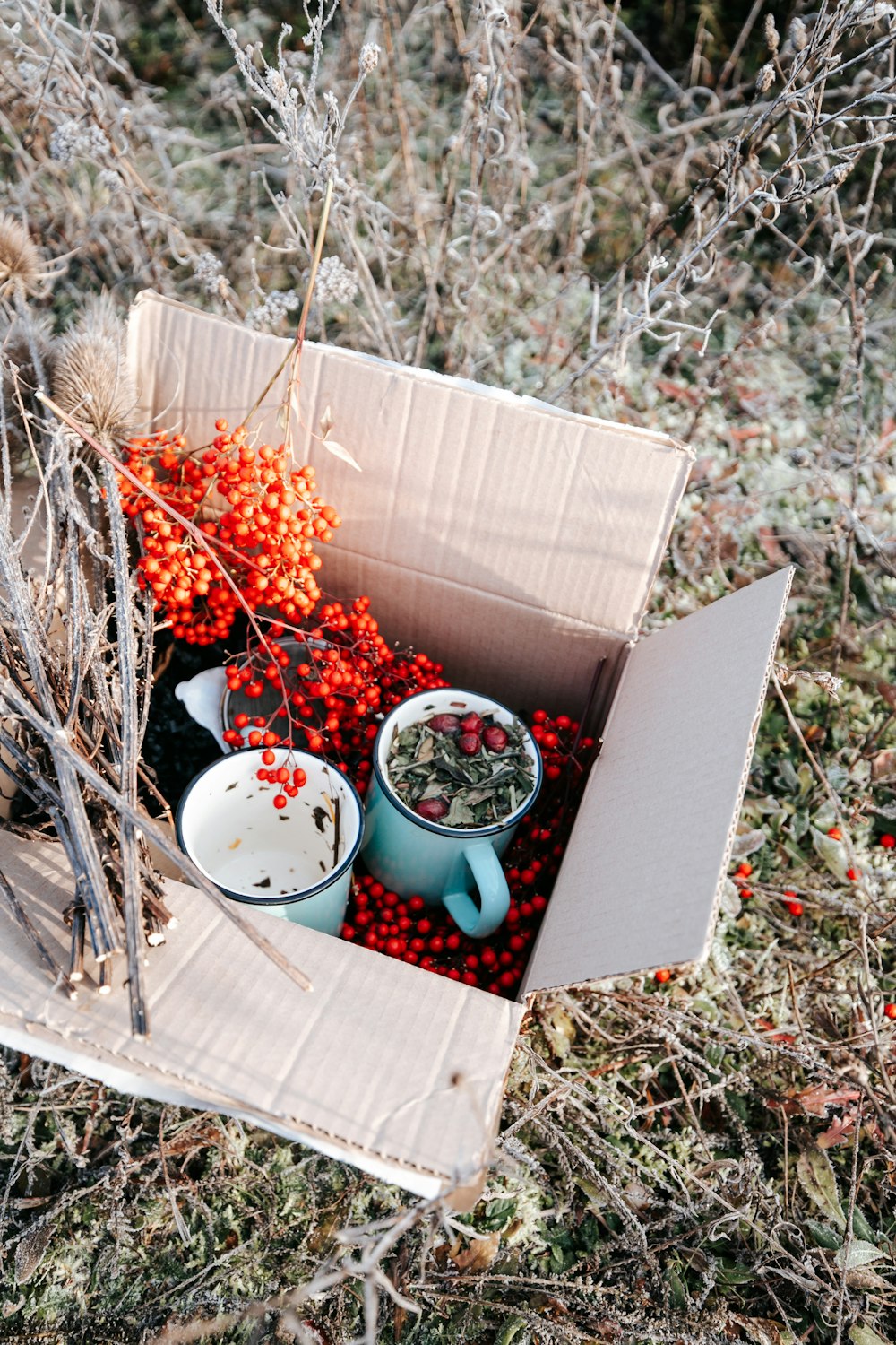 orange and green flowers in white ceramic bowls in brown cardboard box