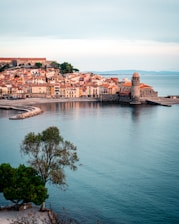 brown concrete building near body of water during daytime