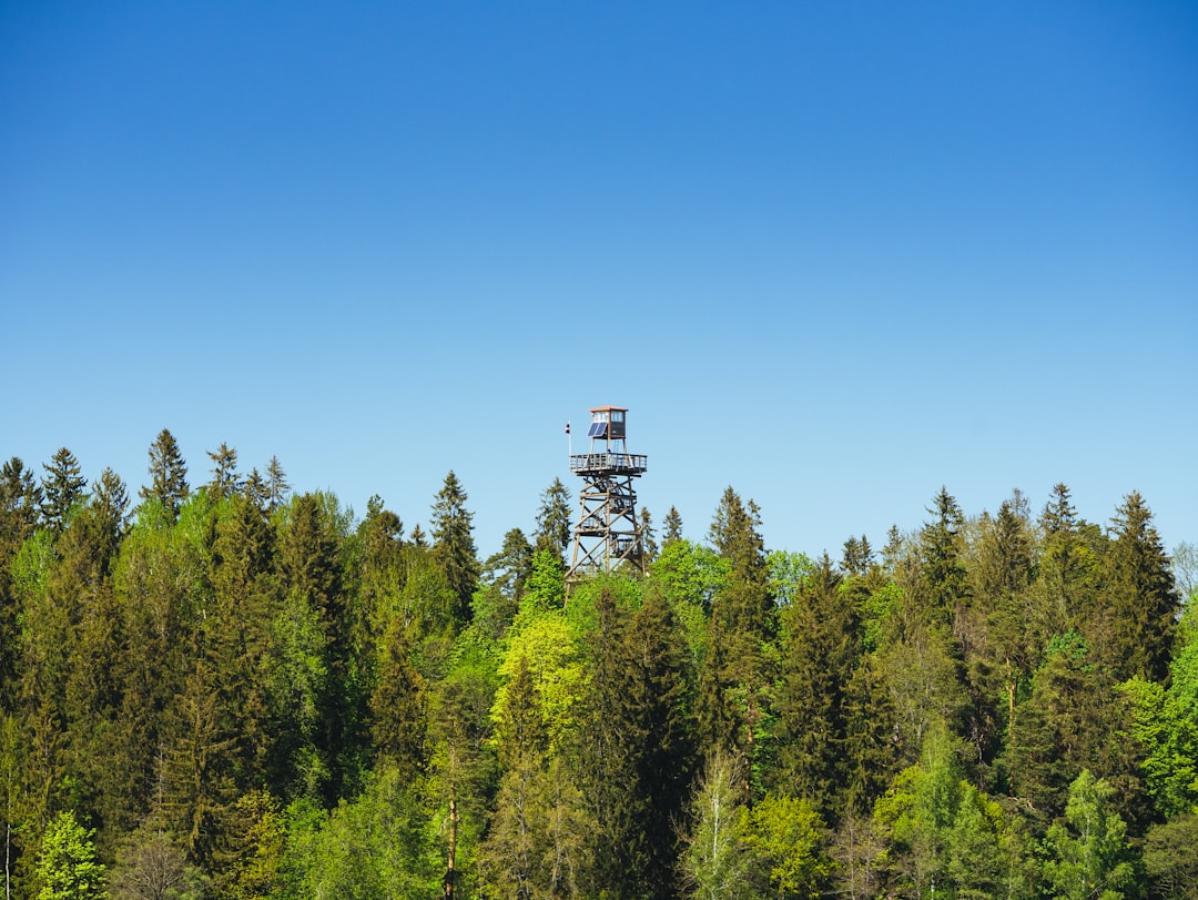 Forest photo spot RÄ“zekne Latvia