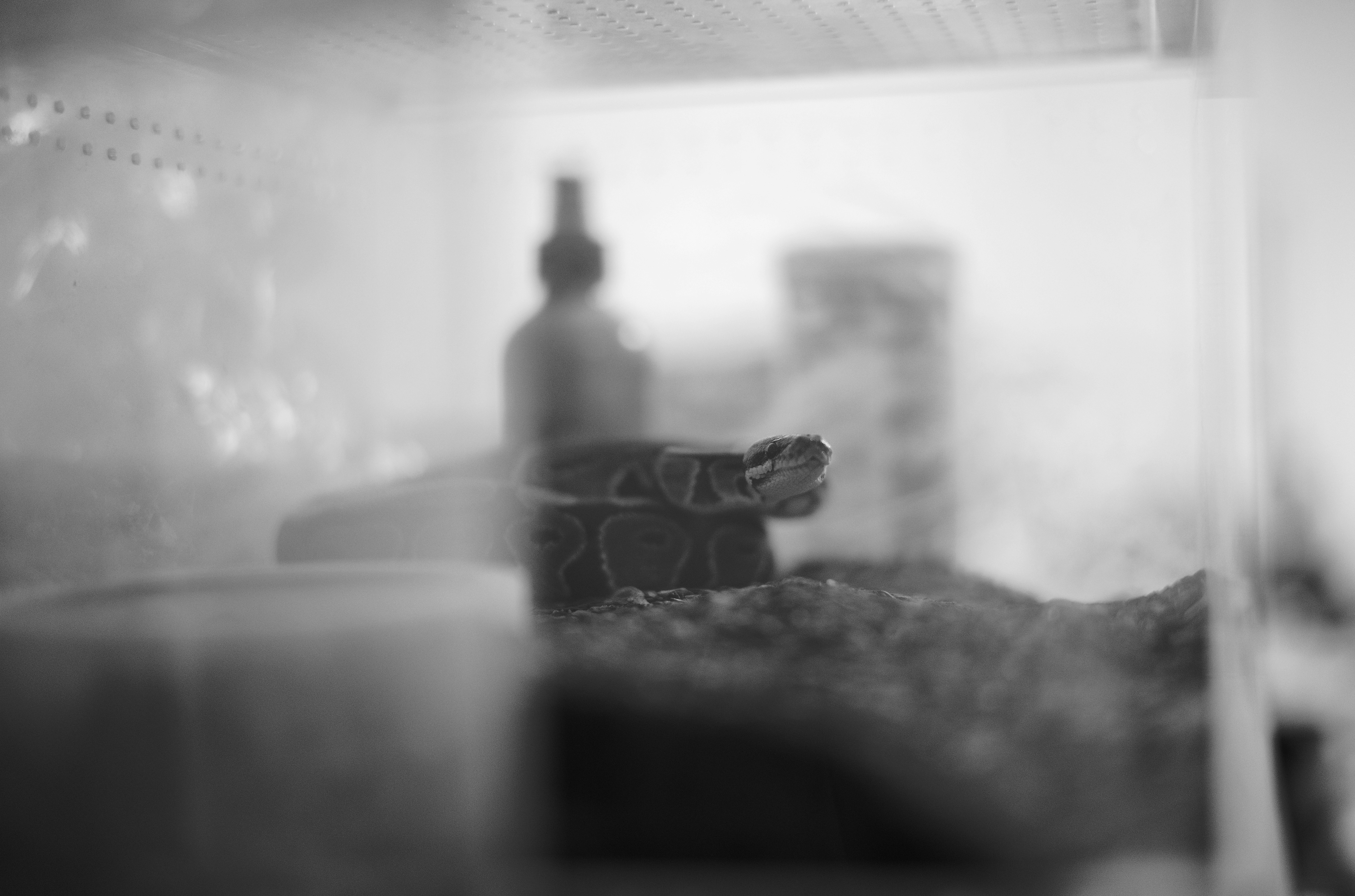 clear glass bottle on black and white marble table