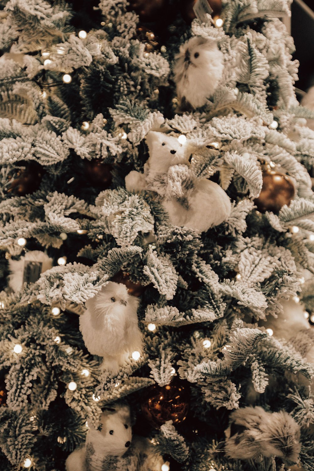 white and brown bird on green christmas tree