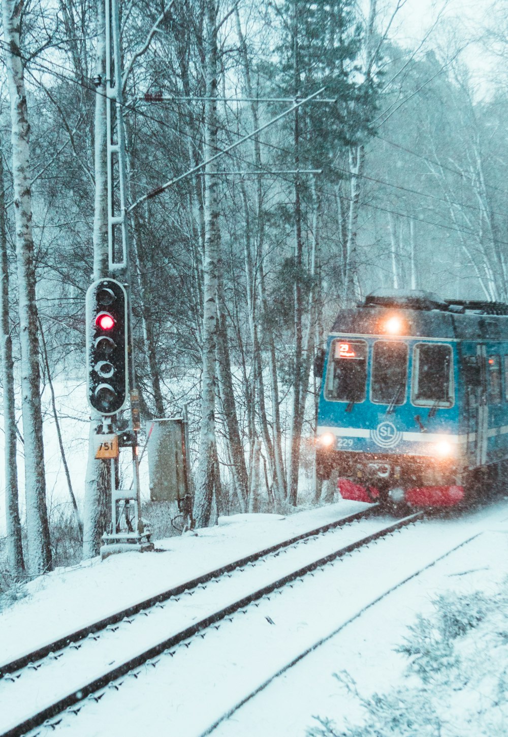 昼間は木々に囲まれた線路を走る青と赤の列車