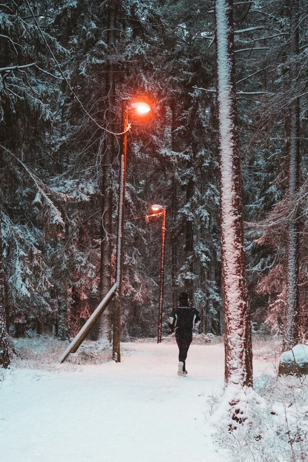 person in black coat standing on snow covered ground near trees during daytime
