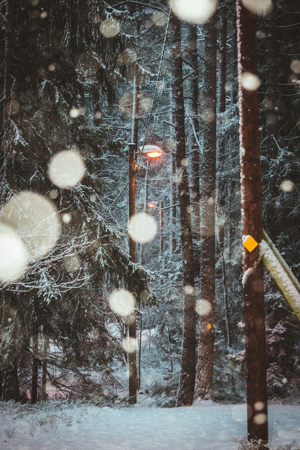 茶色の木製の柵に白い雪