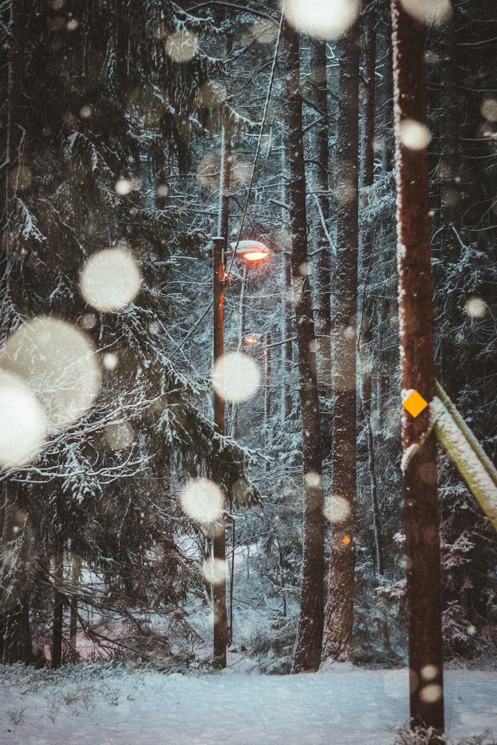 Weißer Schnee auf braunem Holzzaun