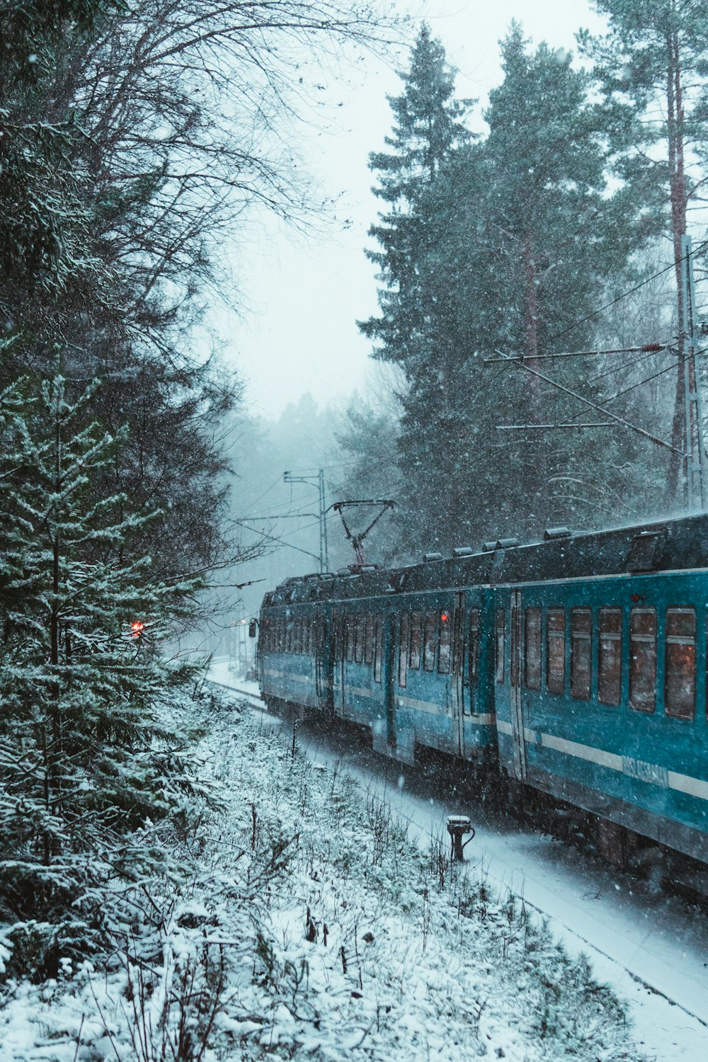 black and white train on rail tracks