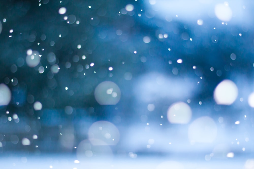 white and blue bokeh lights