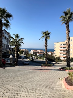 A sloped street lined with palm trees leads towards the sea in the distance. On either side, there are multi-story residential buildings with balconies. The sky is clear and blue, and there are a few cars parked along the street. The setting appears to be a suburban or coastal neighborhood.