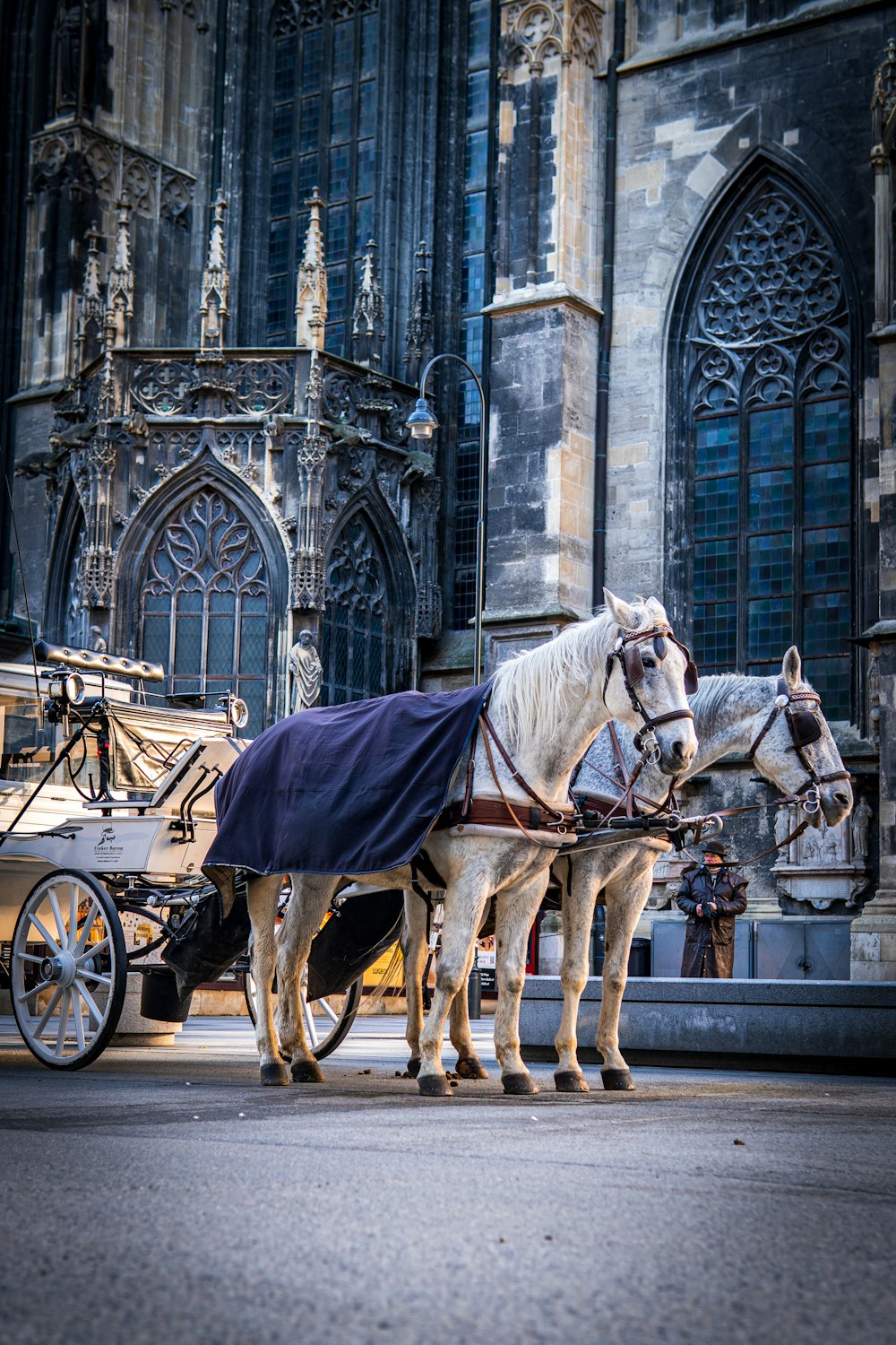 white horse with carriage in front of gray concrete building