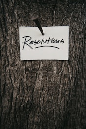 white printer paper on brown tree