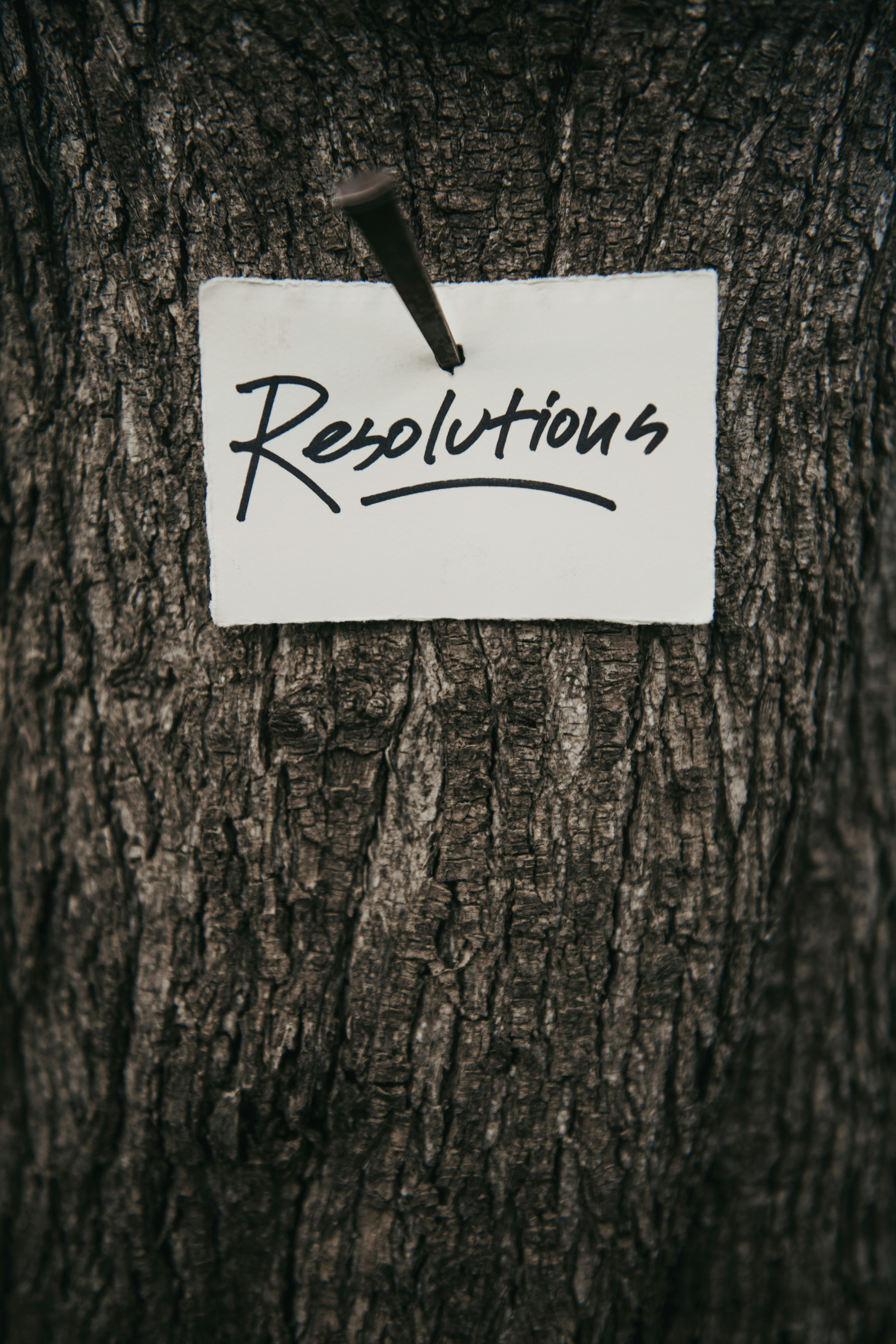 Resolutions | Instagram: @timmossholder