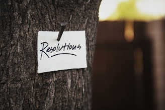 A handwritten note with the word 'Resolutions' nailed to a tree trunk, creating a natural, rustic vibe.