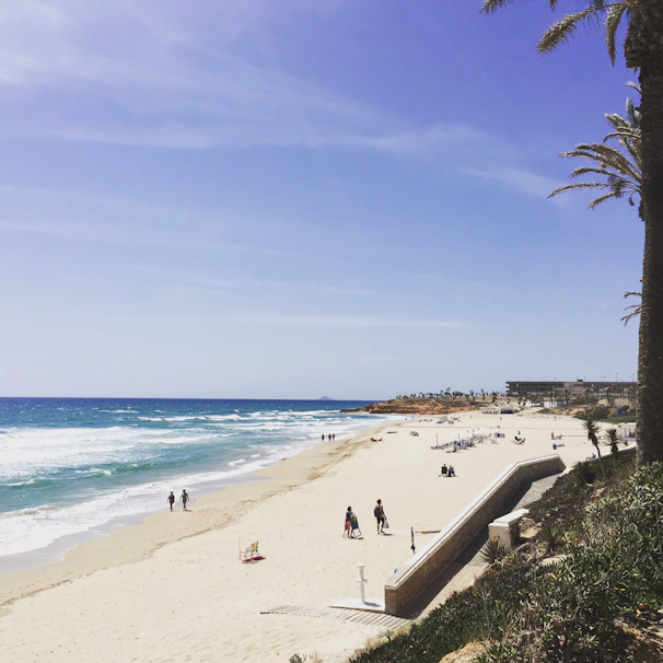 Sandy beach lined with palm trees under a clear blue sky, with sunbathers and gentle waves