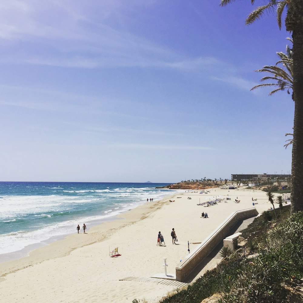 people on beach during daytime