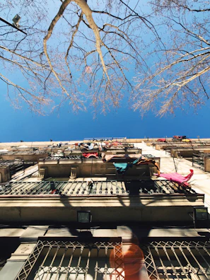 white and brown concrete building under blue sky during daytime